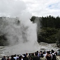 131-2.Lady Knox Geyser2.JPG