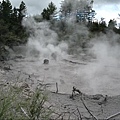 132-1.Mud Pool1.JPG