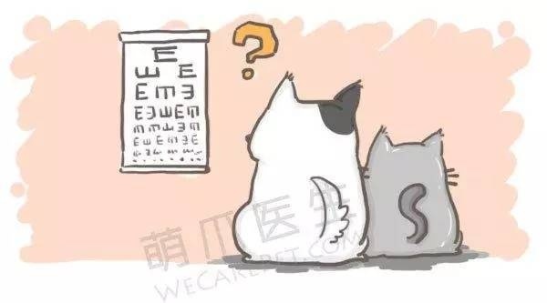 眼角膜.jpg 眼角膜.jpg