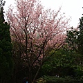 20120310大屯自然公園 (8).JPG