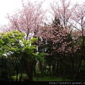 20120310大屯自然公園 (9).JPG