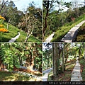 20131109六號花園 (2).JPG