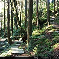 20131123三峽熊空休閒農場 (28).JPG