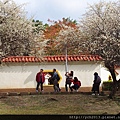 20140112志成公園 (8).JPG