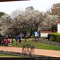 20140112志成公園 (21).JPG