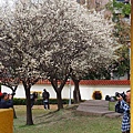 20140112志成公園 (23).JPG