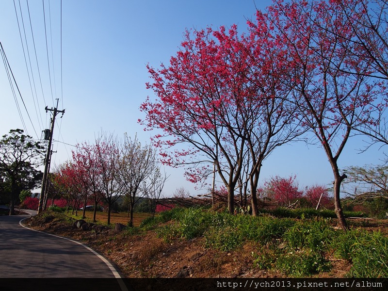 20140131淡水忠寮里 (1).JPG 20140131淡水忠寮里 (1).JPG
