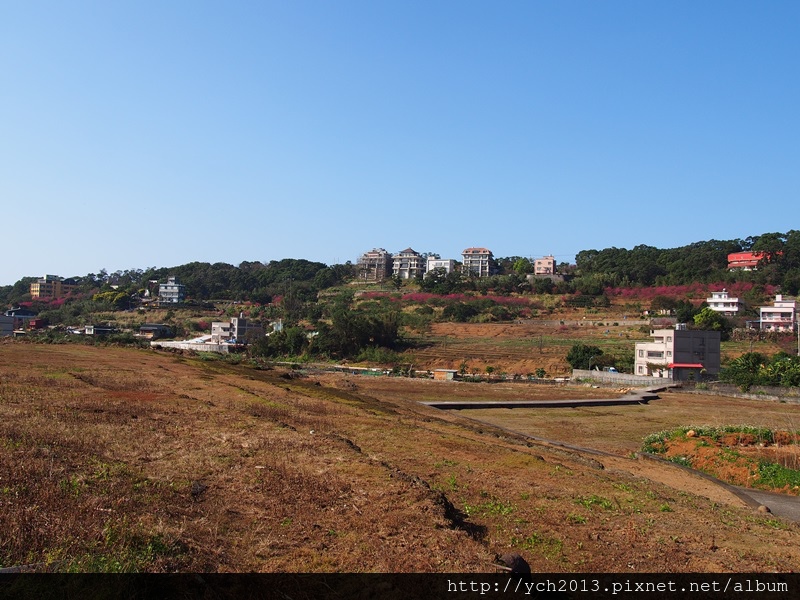 20140131淡水忠寮里 (16).JPG