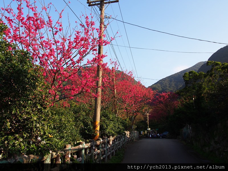 20140131楓樹湖 (5).JPG