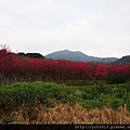 20140202十八份 (10).JPG