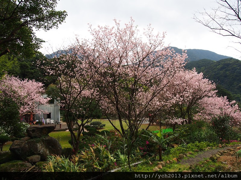 20140228三板橋 (7).JPG