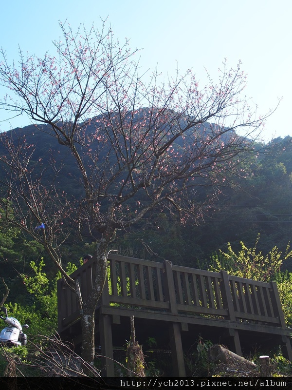 20140222木蓮園 (1).JPG 20140222木蓮園 (1).JPG