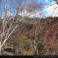 20140223秀巒山谷 (19).JPG