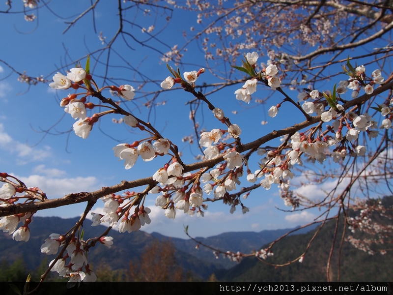 20140223泰崗 (16).JPG