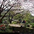 20140315頂坪 (21).JPG