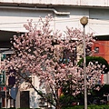 20140405三重 (18).JPG