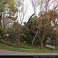 20140226中正山產業道路 (5).JPG