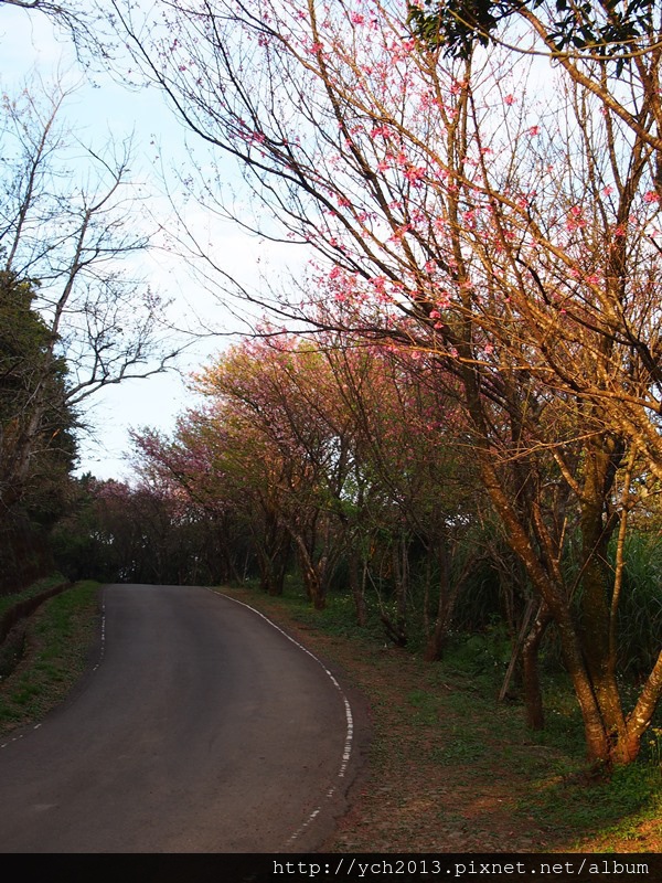 20140226中正山產業道路 (7).JPG