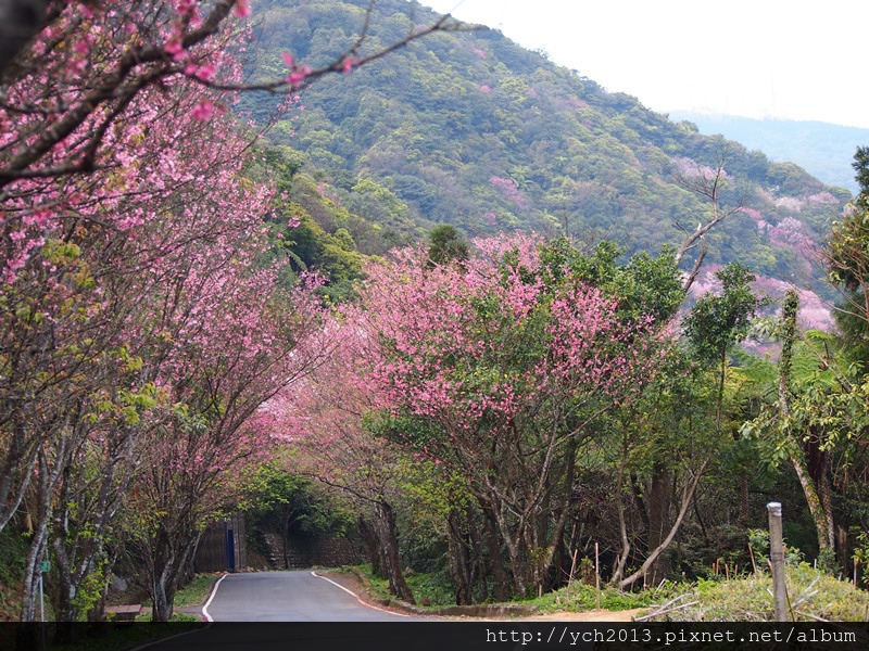 20140226中正山產業道路 (12).JPG