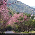 20140226中正山產業道路 (12).JPG