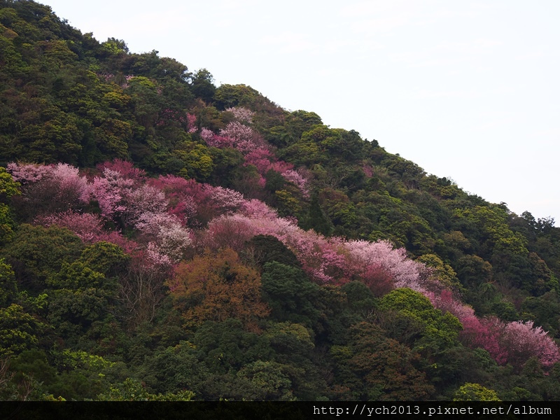 20140226中正山產業道路 (14).JPG