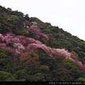 20140226中正山產業道路 (14).JPG