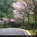 20140226中正山產業道路 (16).JPG