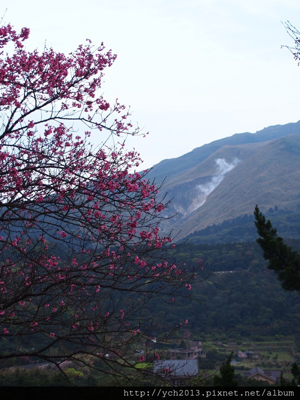 20140226中正山產業道路 (21).JPG