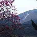 20140226中正山產業道路 (21).JPG