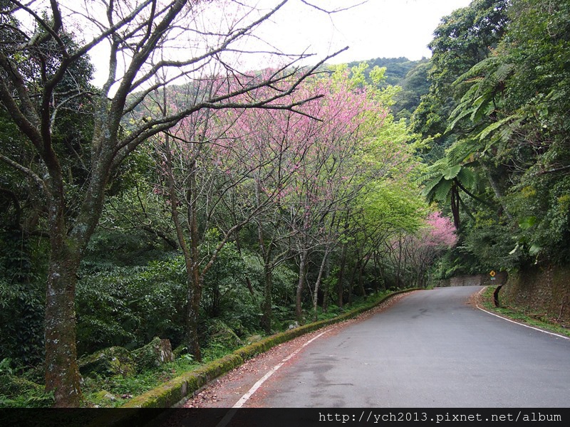 20140226中正山產業道路 (18).JPG