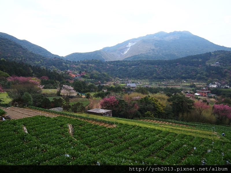 20140226中正山產業道路 (22).JPG