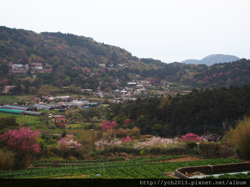 20140226中正山產業道路 (23).JPG