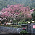 20140226中正山產業道路 (24).JPG