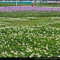 20140427大佳河濱公園 (5).JPG
