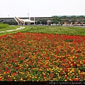 20140427大佳河濱公園 (8).JPG