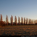 20140726Lake Tekapu (2).JPG