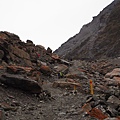 20140728Fox Glacier (11).JPG