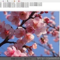 Photoscape 2.jpg