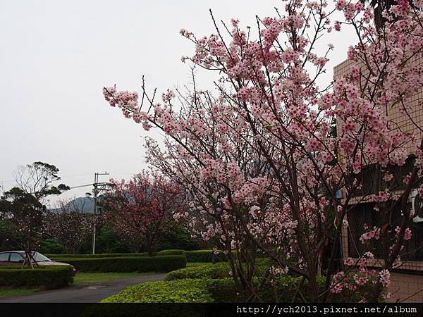 20150322愛維養護中心 (1).JPG 20150322愛維養護中心 (1).JPG