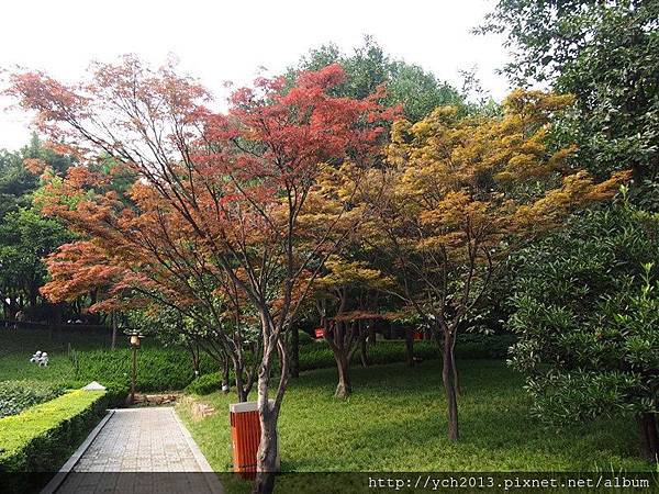 20150704唐大雁塔遺址公園(10).JPG