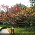 20150704唐大雁塔遺址公園(10).JPG