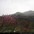 20160124平等里雪景(5).JPG