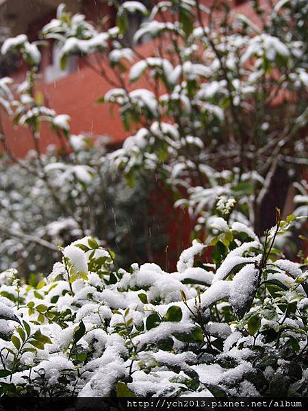 20160124平等里雪景(28).JPG