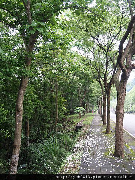 龜山(17).JPG 龜山(17).JPG