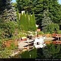 pond(5).JPG
