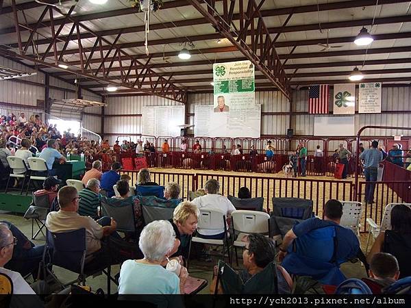 20160718Delaware County fair(11).JPG