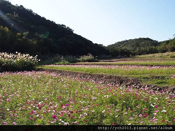 風尾坑(16).JPG