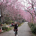 中巴陵櫻木花道(3).JPG