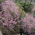 中巴陵櫻木花道(20).JPG