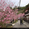 中巴陵櫻木花道(24).JPG
